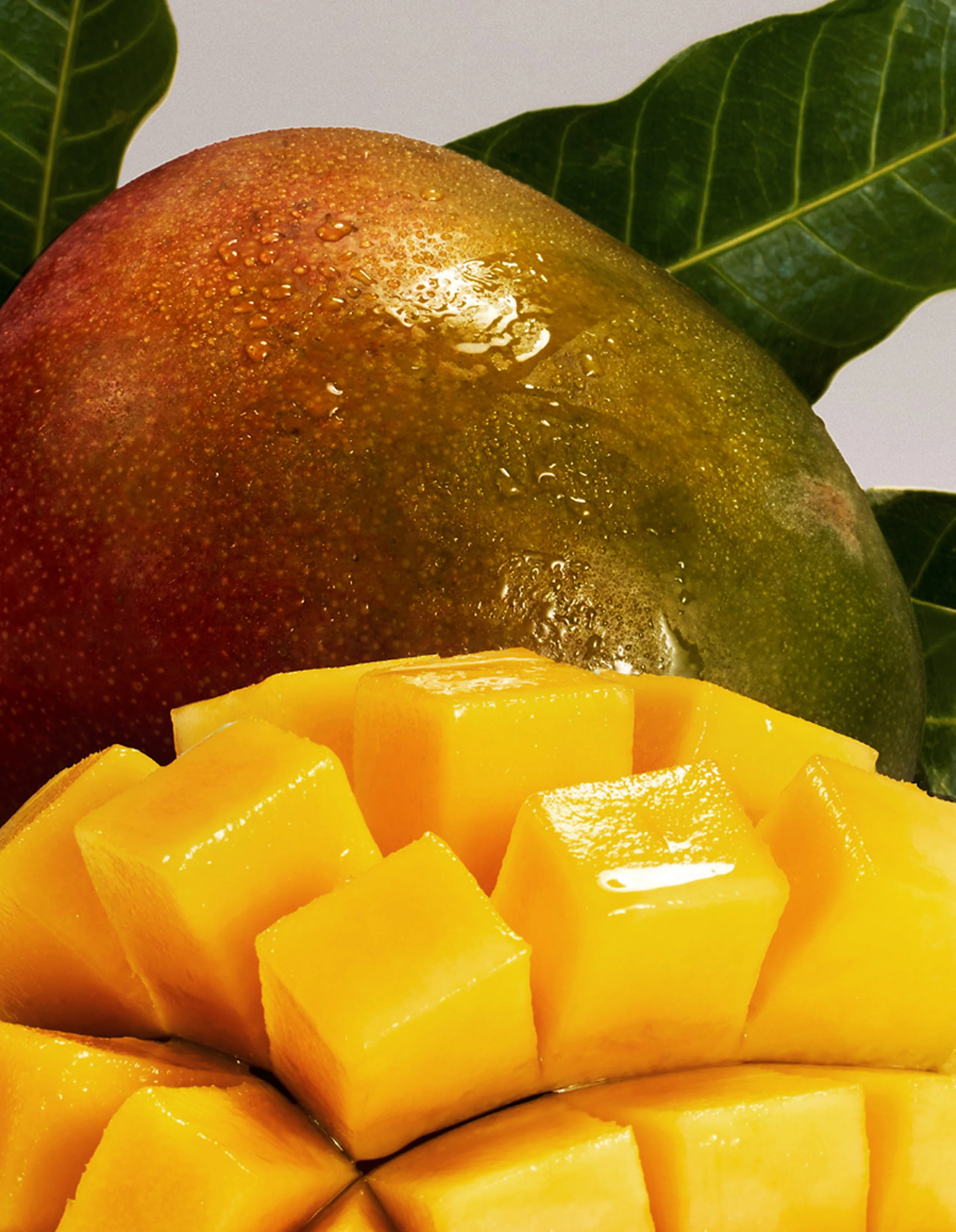 Apple Mango Value Pack - Image 3