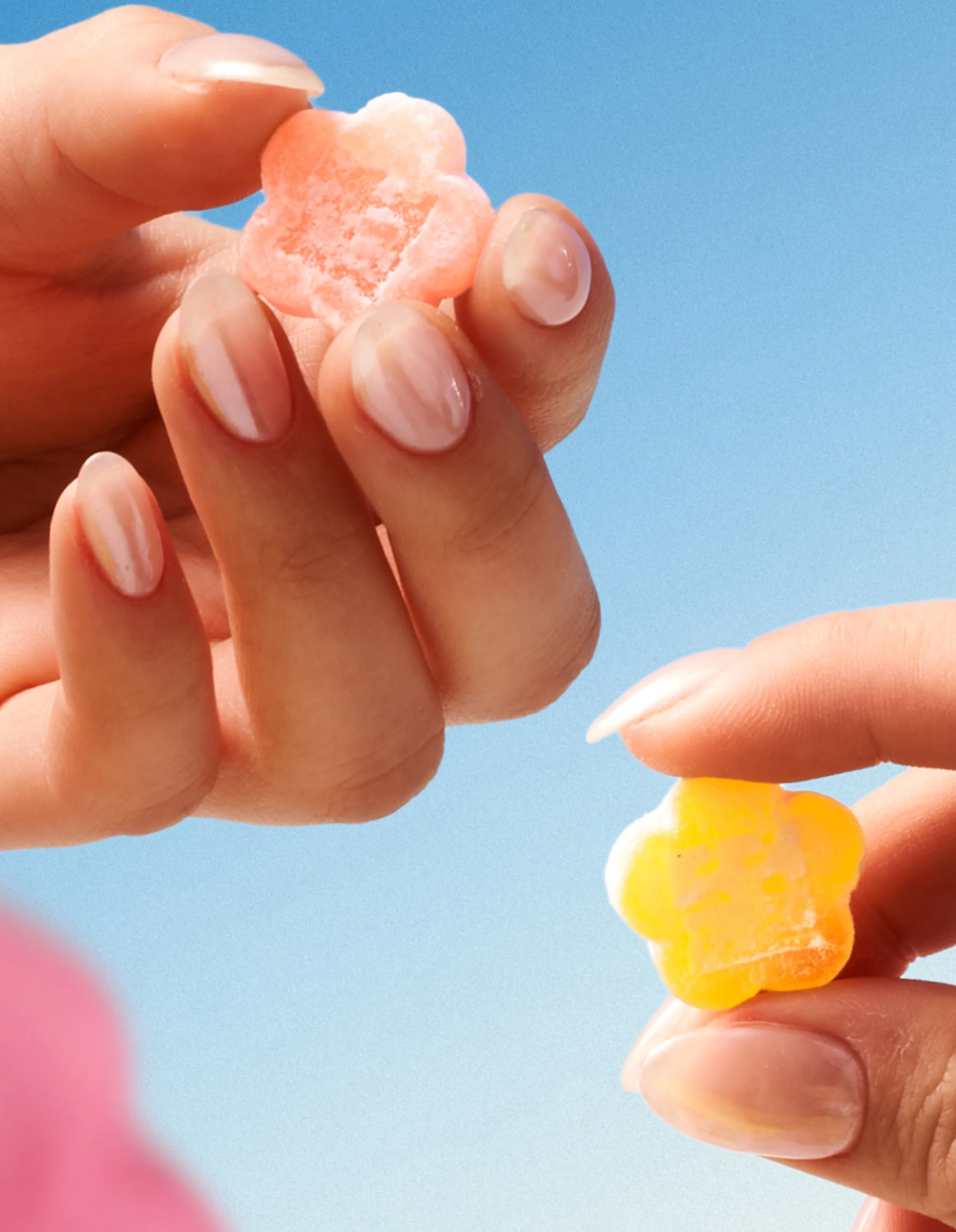 Mochi Discovery Pack - Image 3
