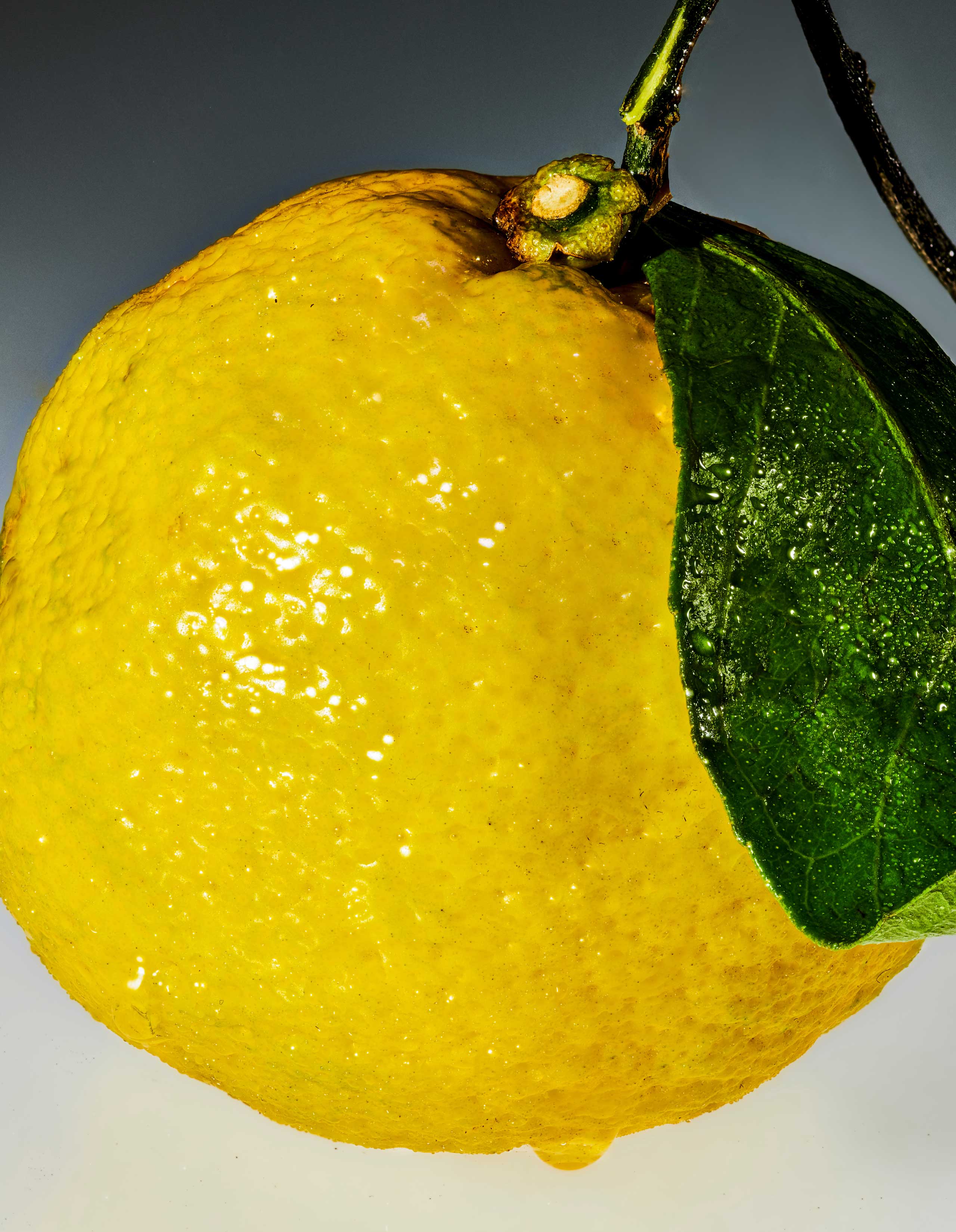 Sour Yuzu (5mg) Mini - Image 4